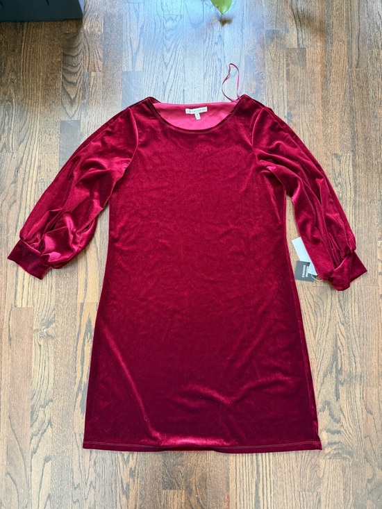 Sandra Darren Dresses & Skirts - NWT Sandra Darren Wine Velvet Dress with 3/4 Sleeves
